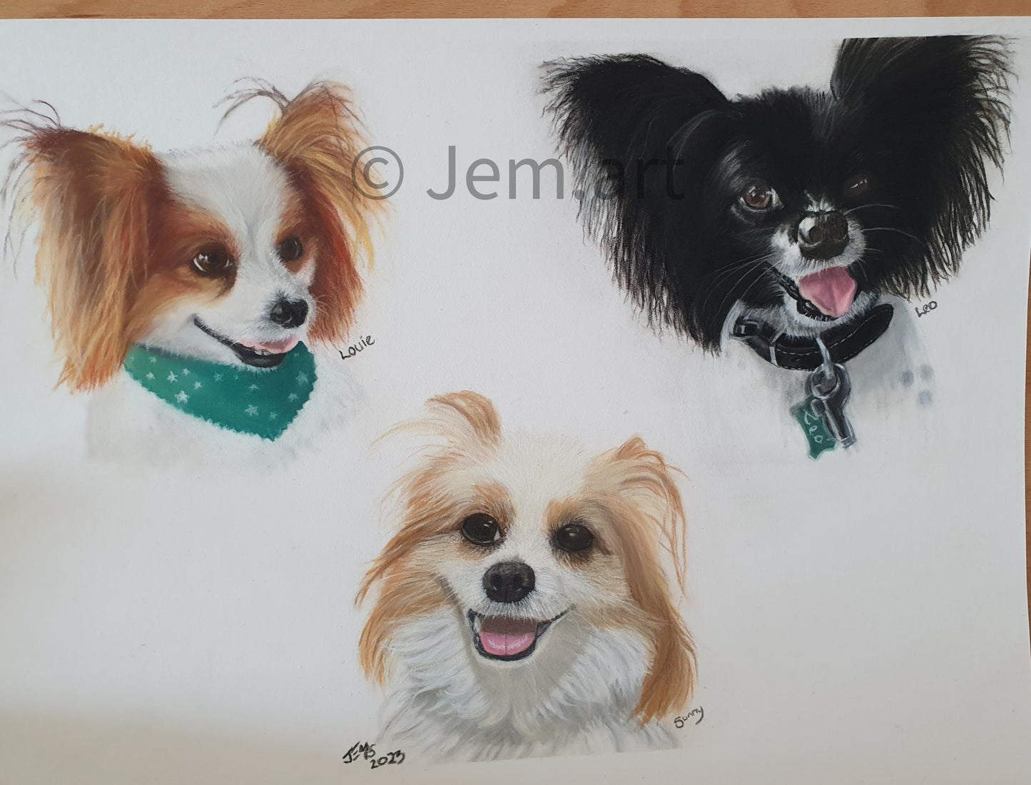 Pet Portraits - Deposit
