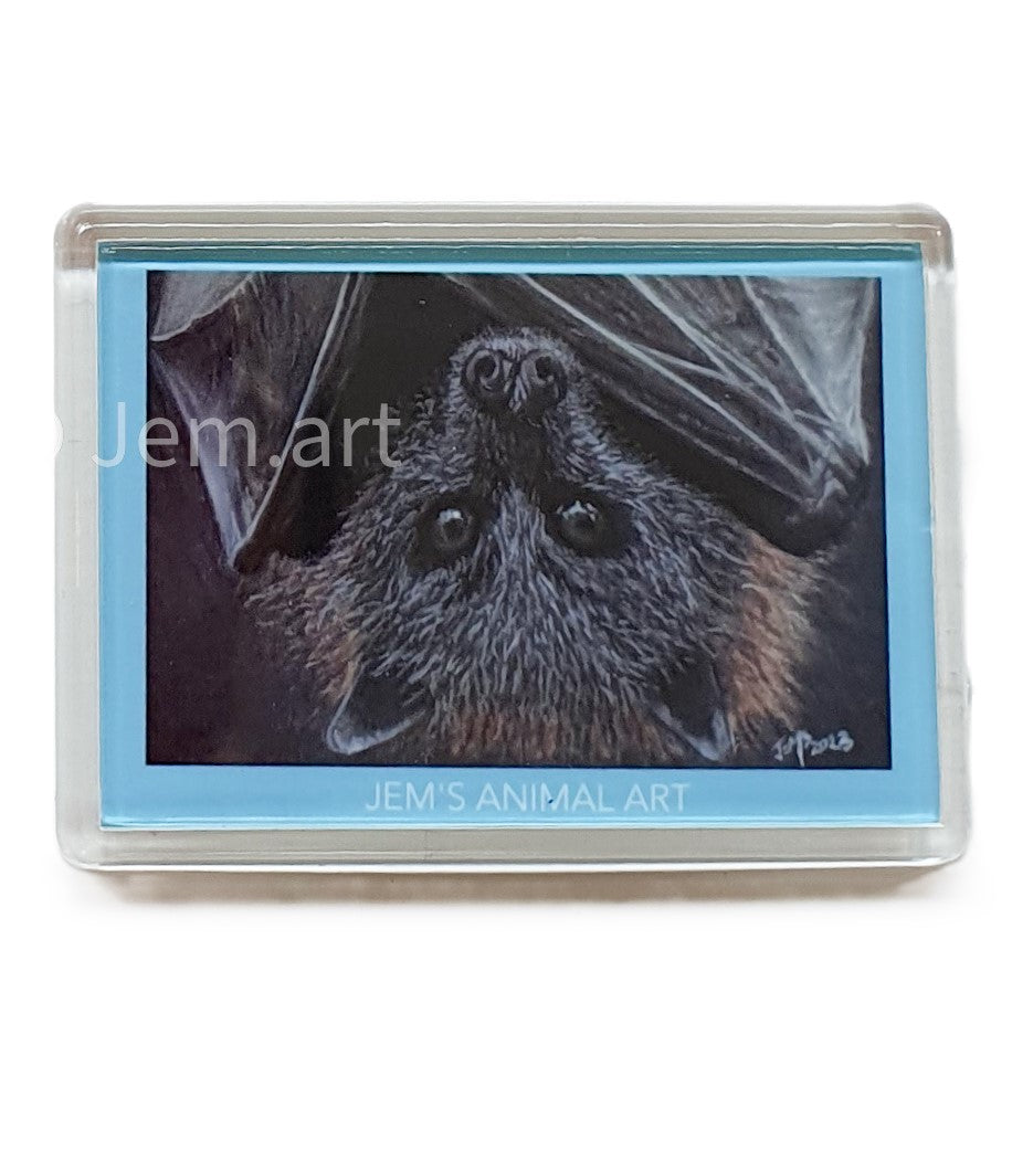 Animal Magnets - Fruit bat - Printed Australian Animals