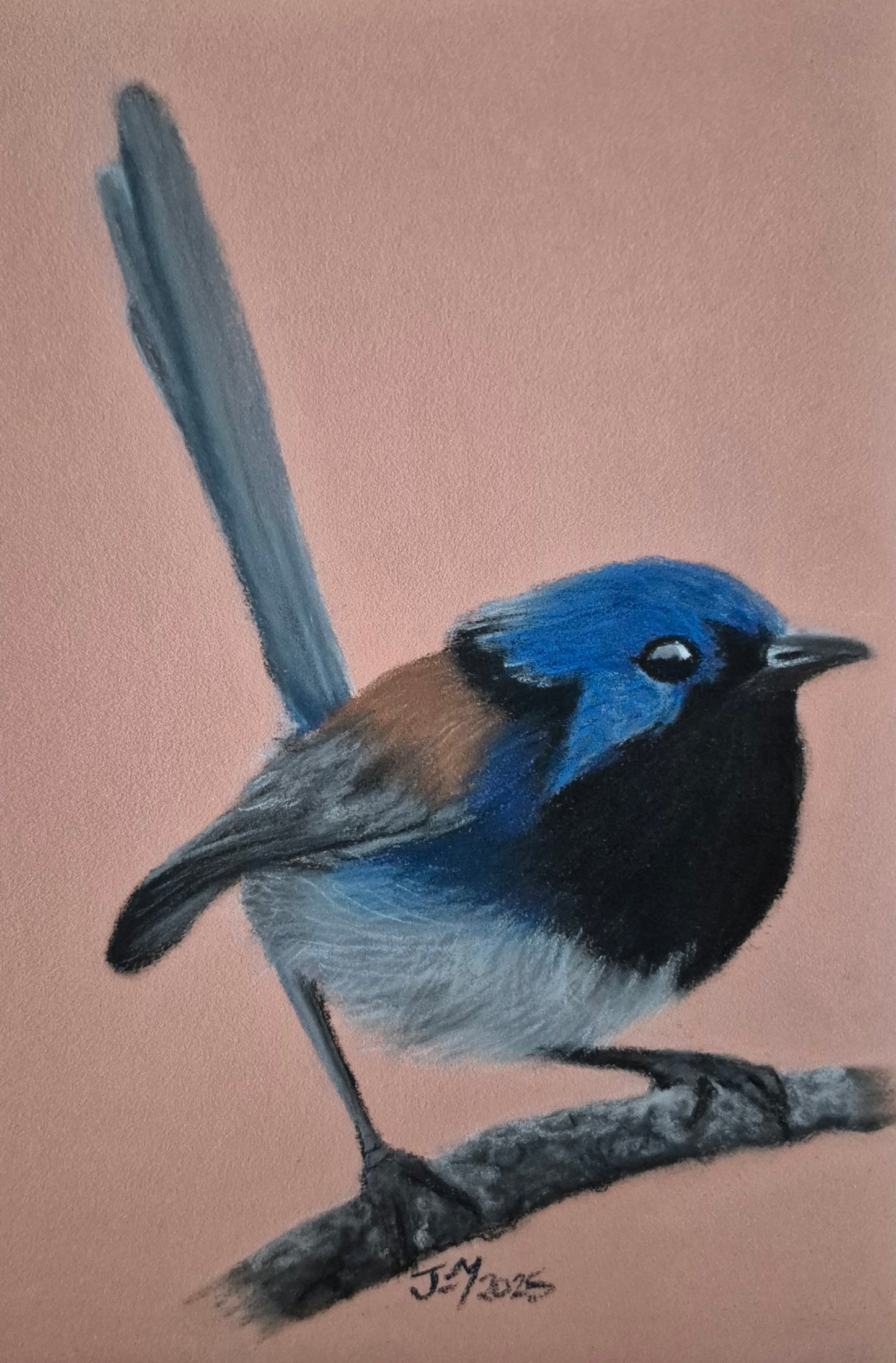 Animal Keyring- The Blue Wren- Printed Australian Animals