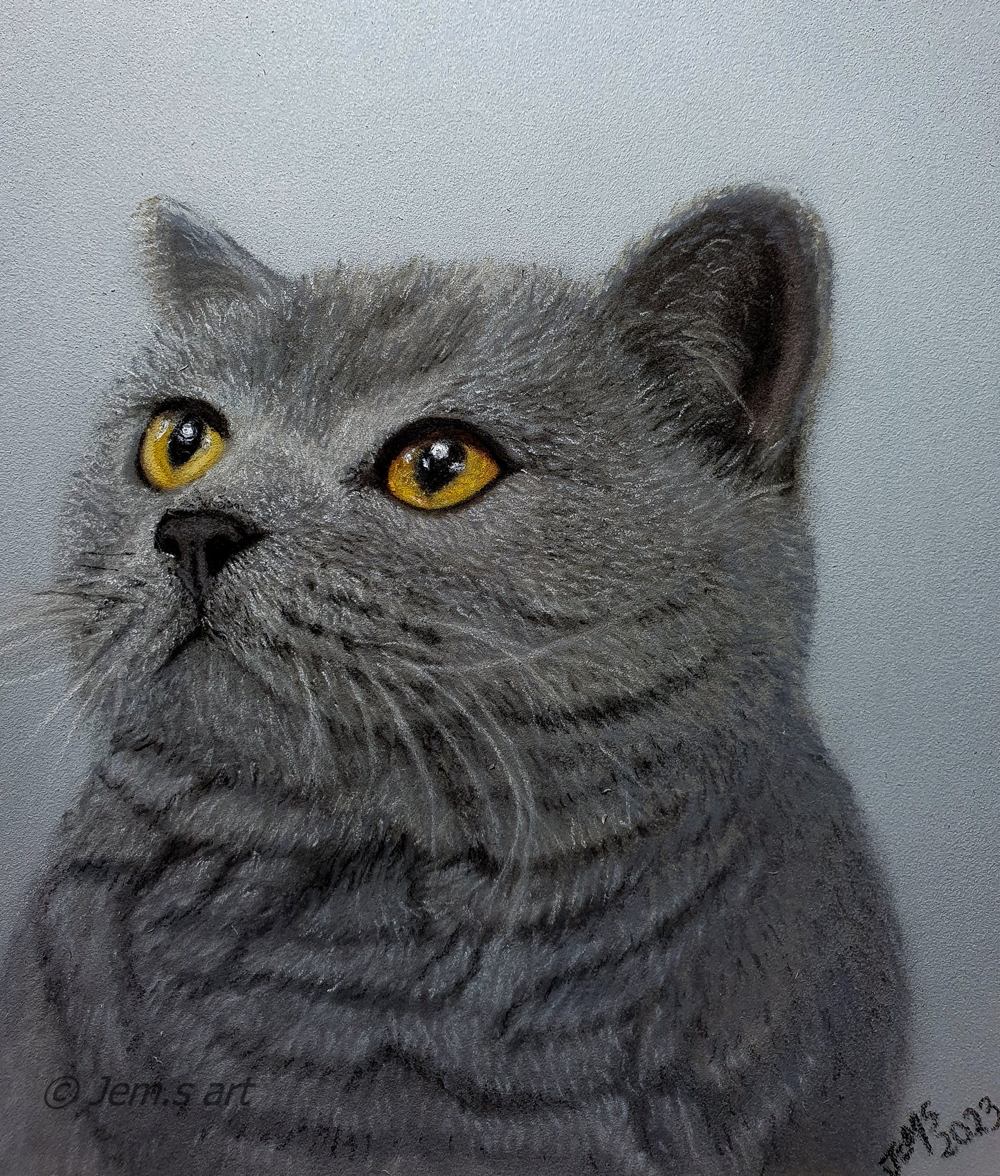 Pet Portraits - Deposit