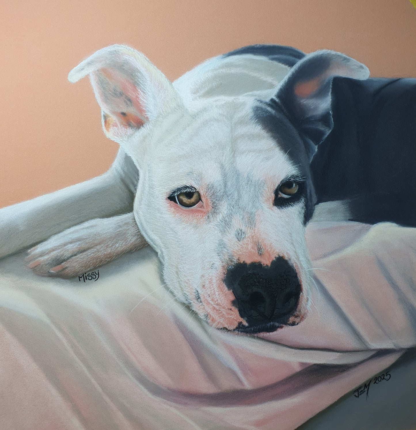 Pet Portraits - Deposit