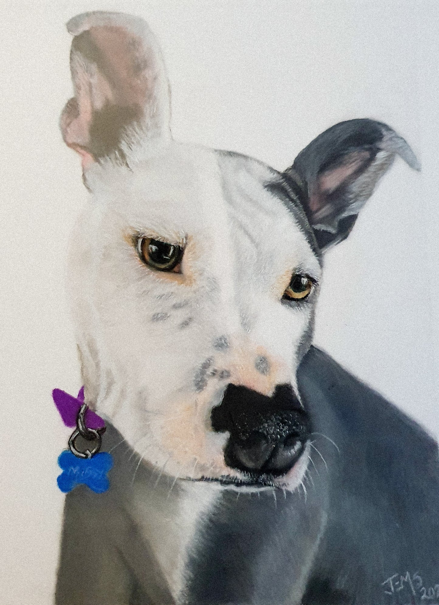 Pet Portraits - Deposit