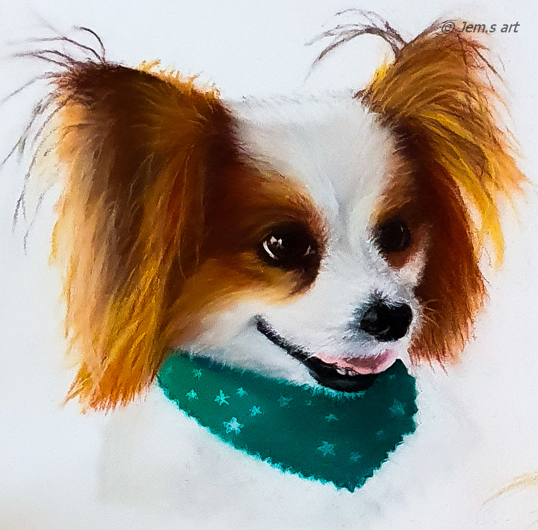 Memorial Animal Portraits