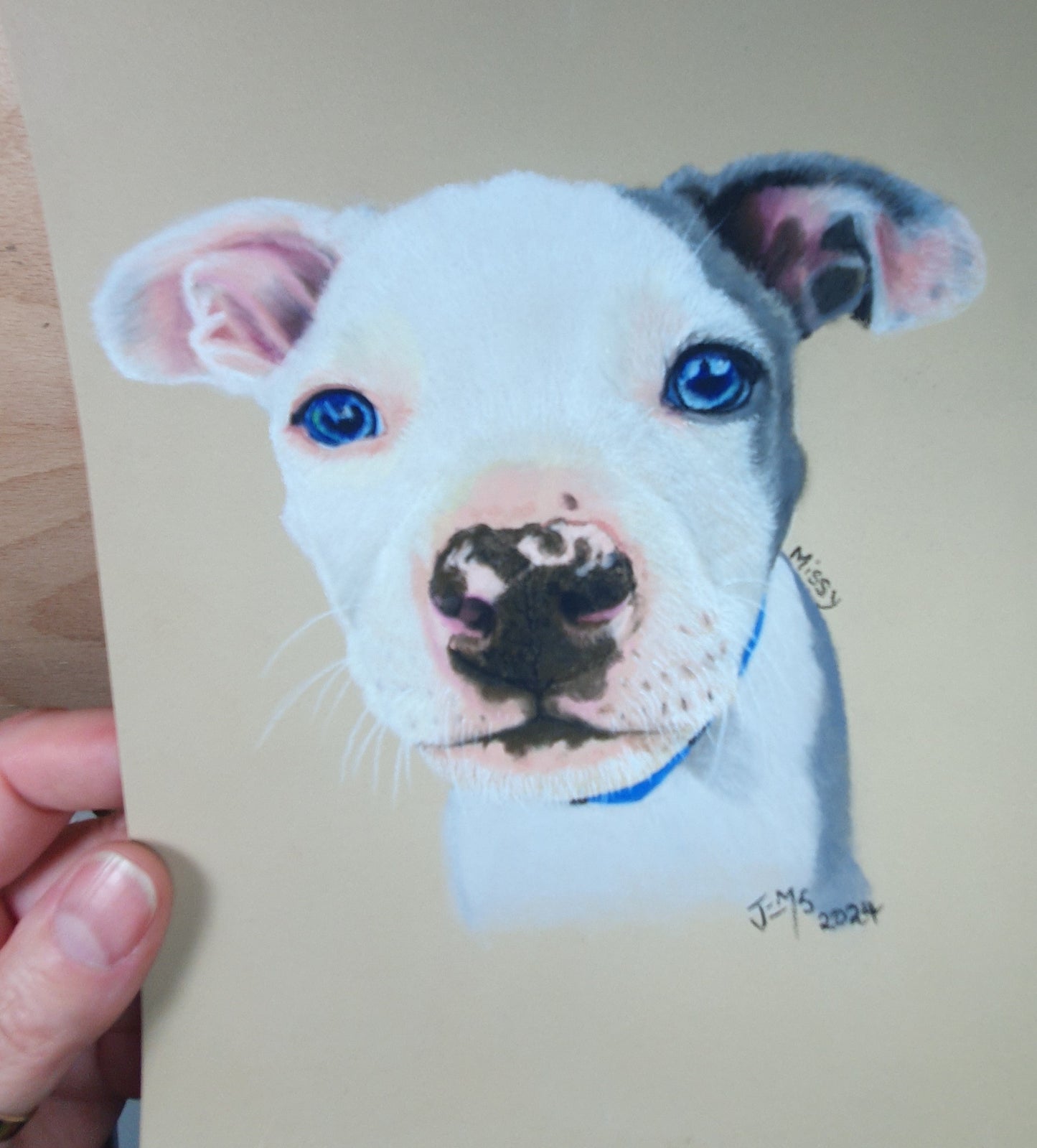 Pet Portraits - Deposit