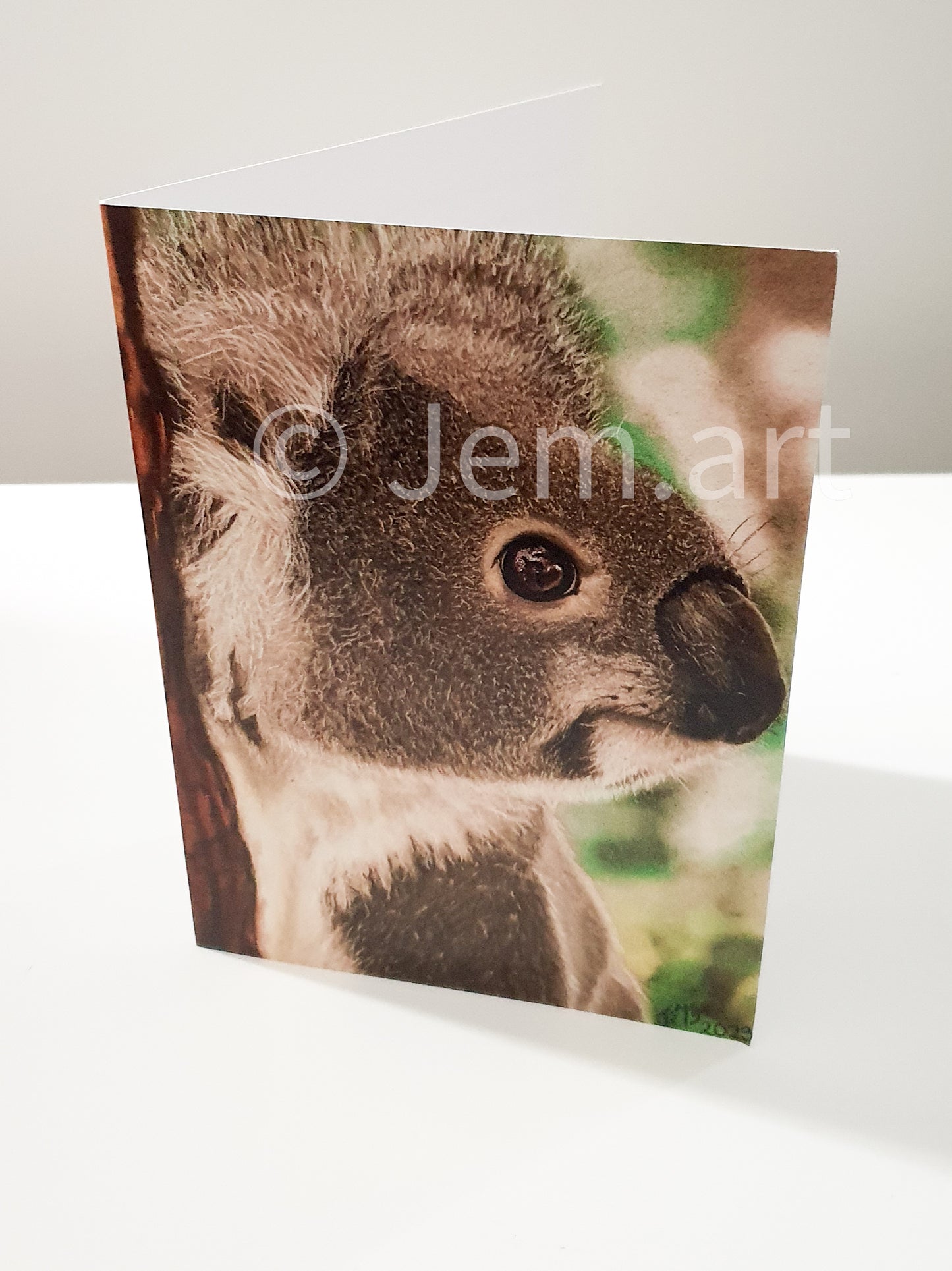 Animal Greeting Card - The Koala - Printed Australian Animals