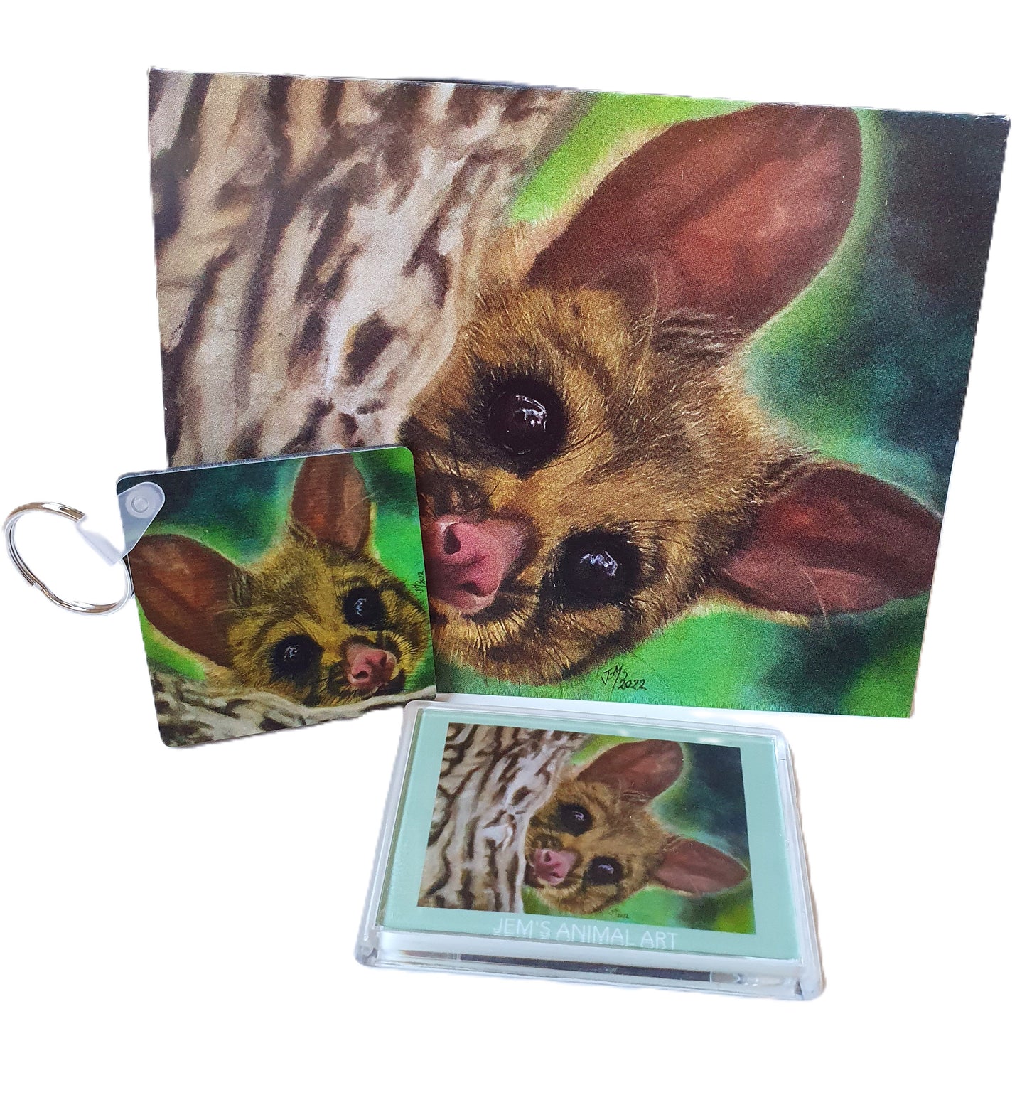 Animal Magnets- The Possum - Printed Australian Animals