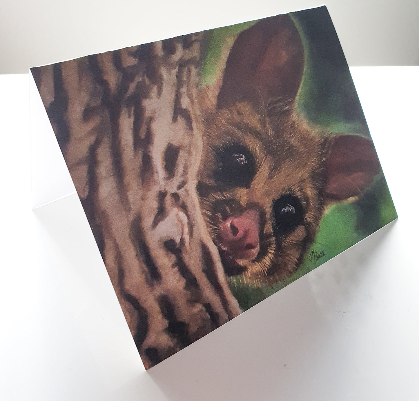 Animal Greeting Card - The Possum - Printed Australian Animals