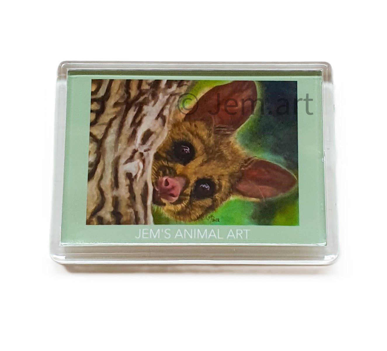 Animal Magnets- The Possum - Printed Australian Animals