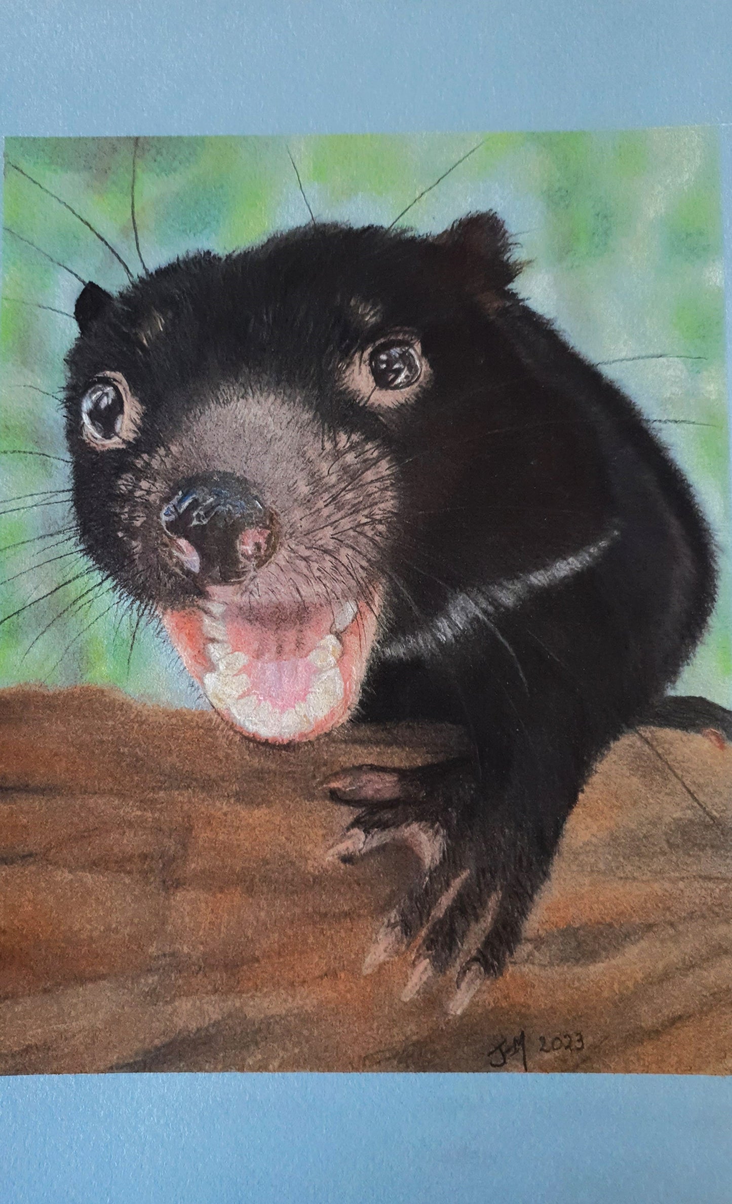 Animal Magnets- The Tasmanian Devil - Printed Australian Animals
