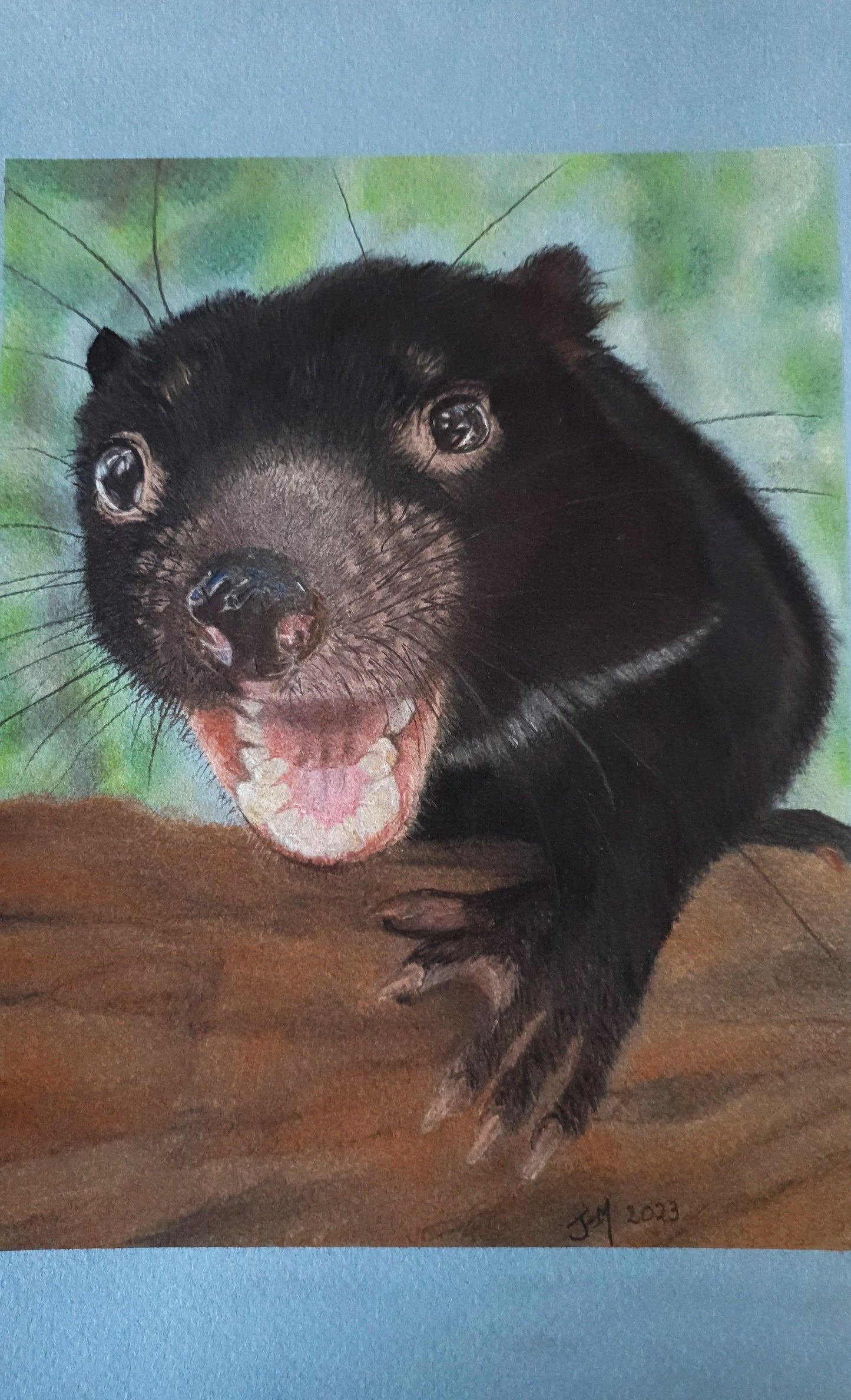 Animal Greeting Card - The Tasmanian Devil - Printed Australian Animals