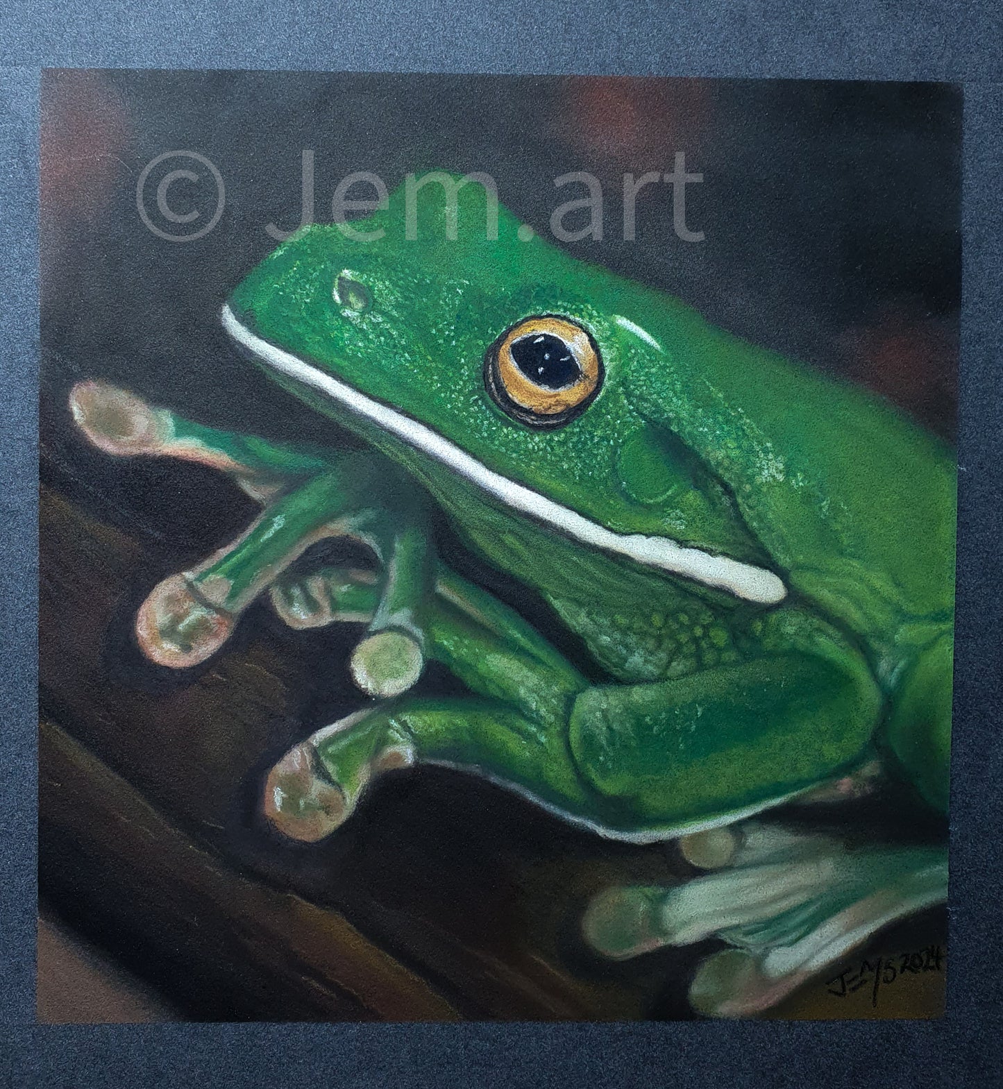 Animal Greeting Card - The Green Frog- Printed Australian Animals