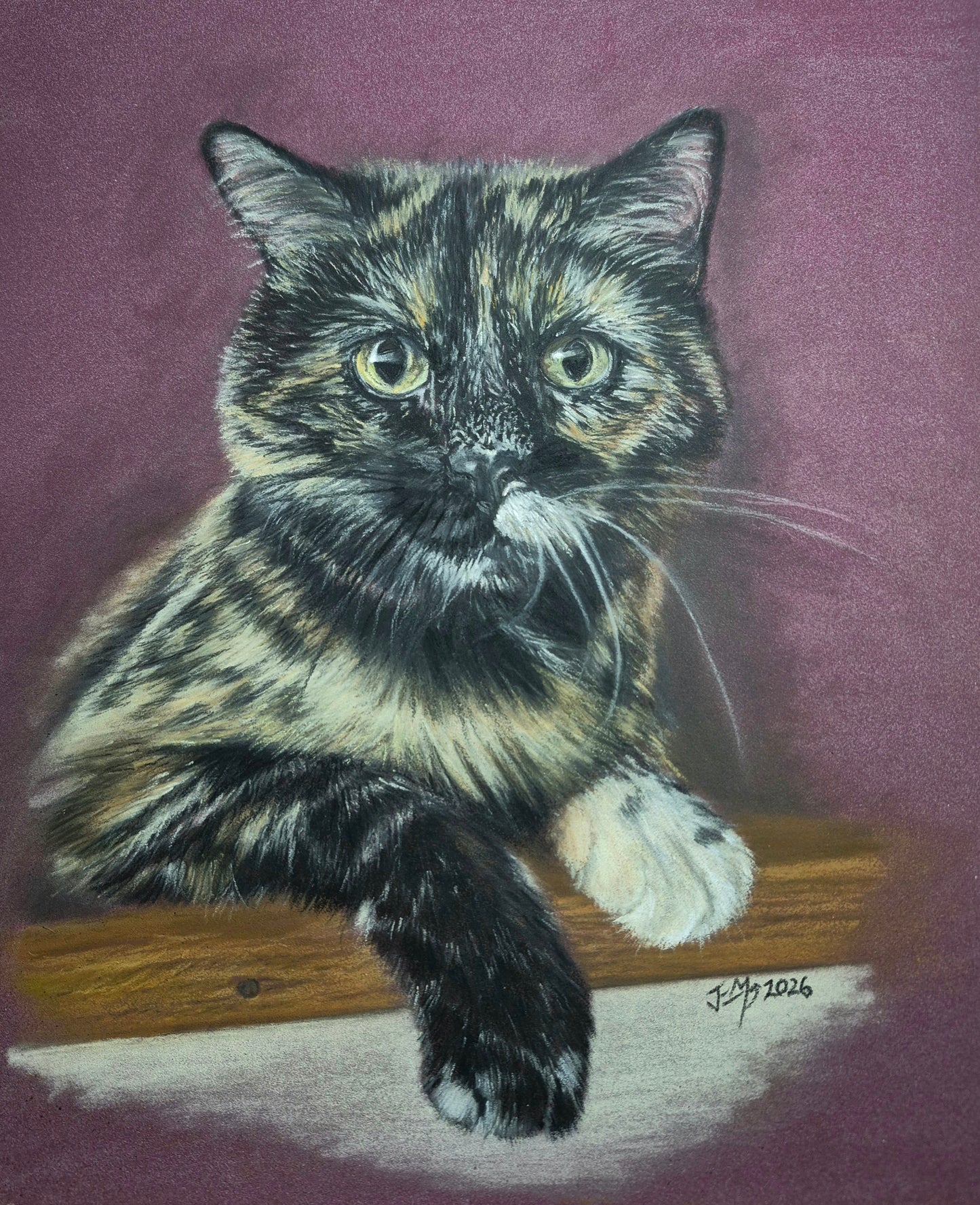 Pet Portraits - Deposit