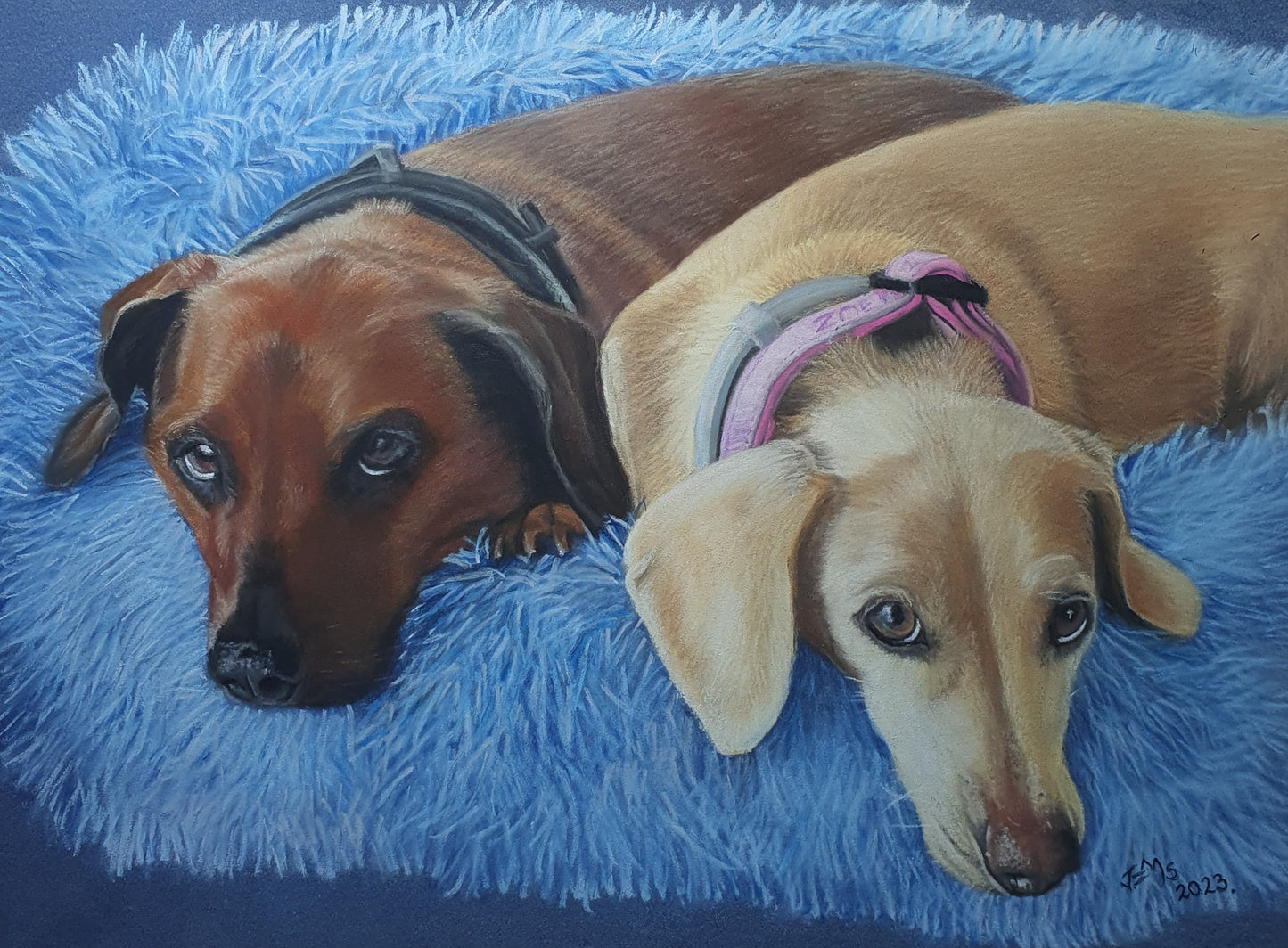 Memorial Animal Portraits