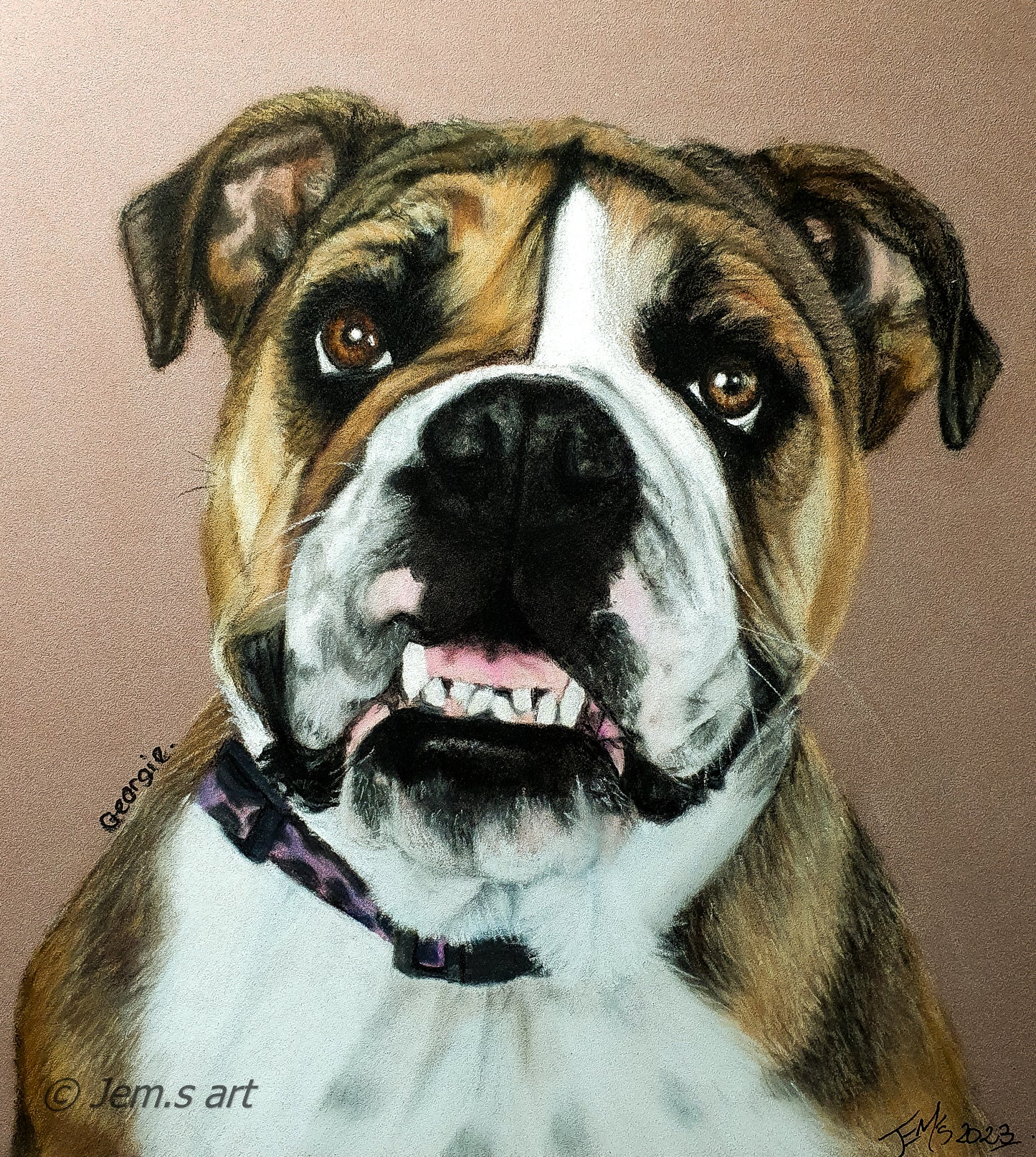 Memorial Animal Portraits