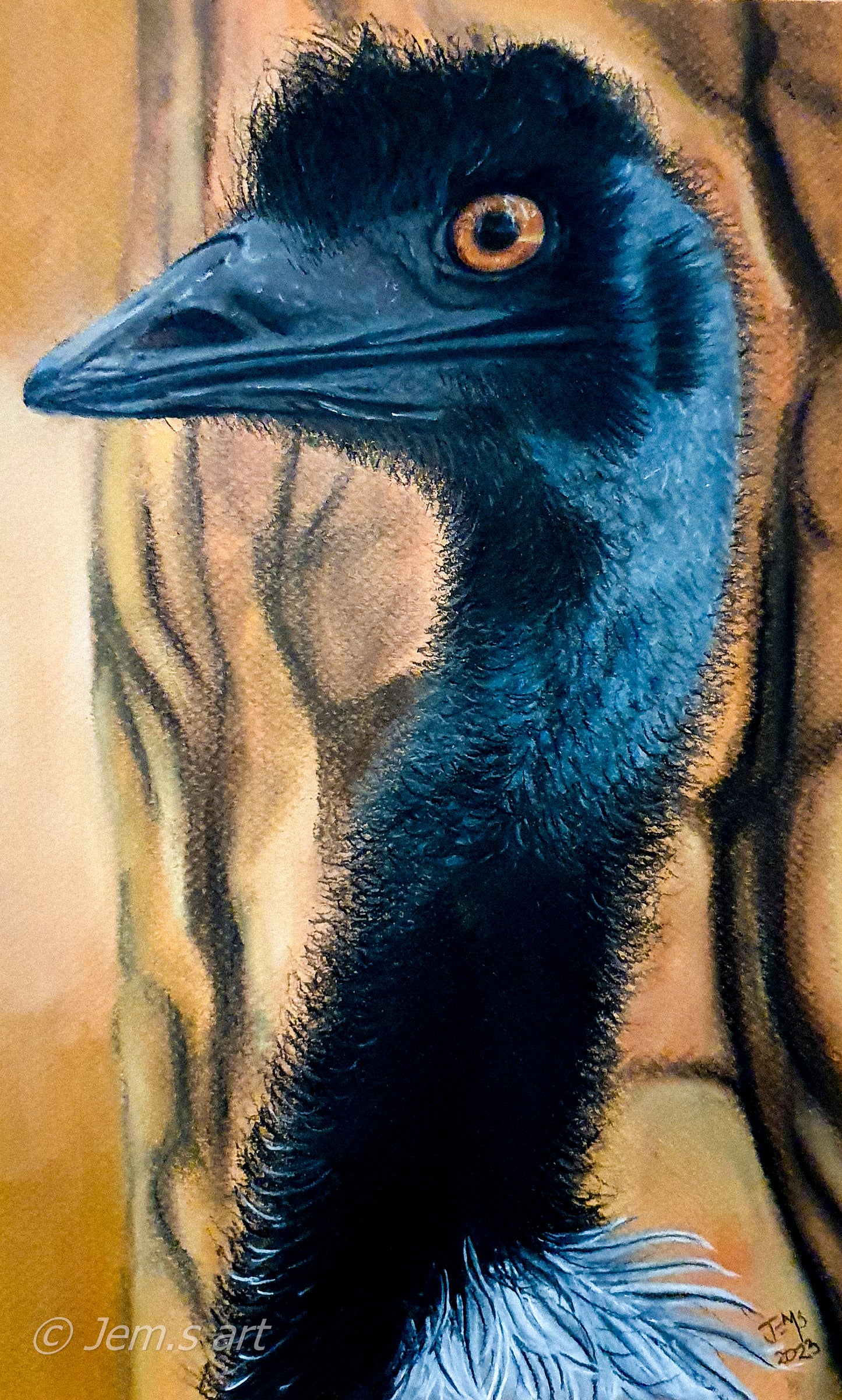 Animal Magnets - The Emu - Printed Australian Animals