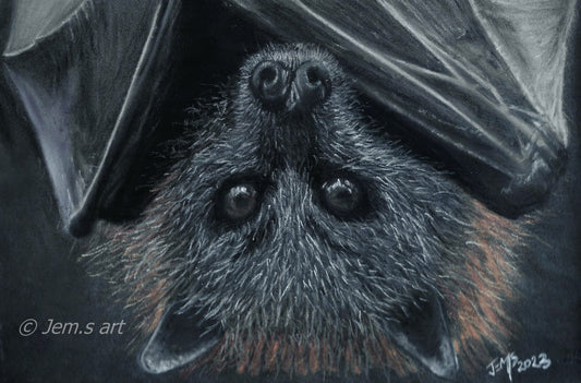 Animal Magnets - Fruit bat - Printed Australian Animals
