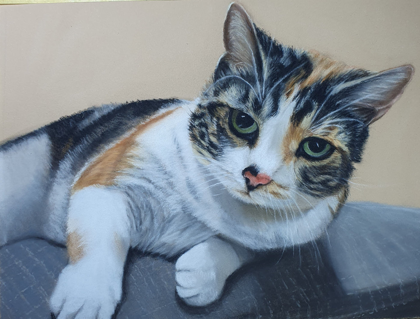 Memorial Animal Portraits
