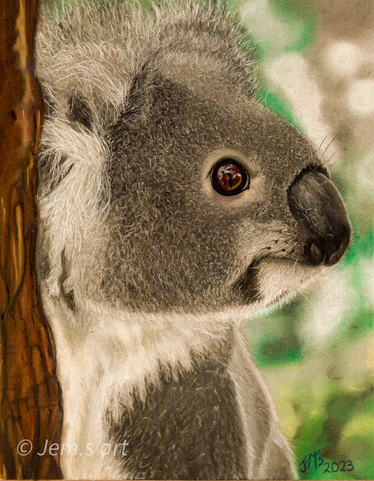 Animal Greeting Card - The Koala - Printed Australian Animals