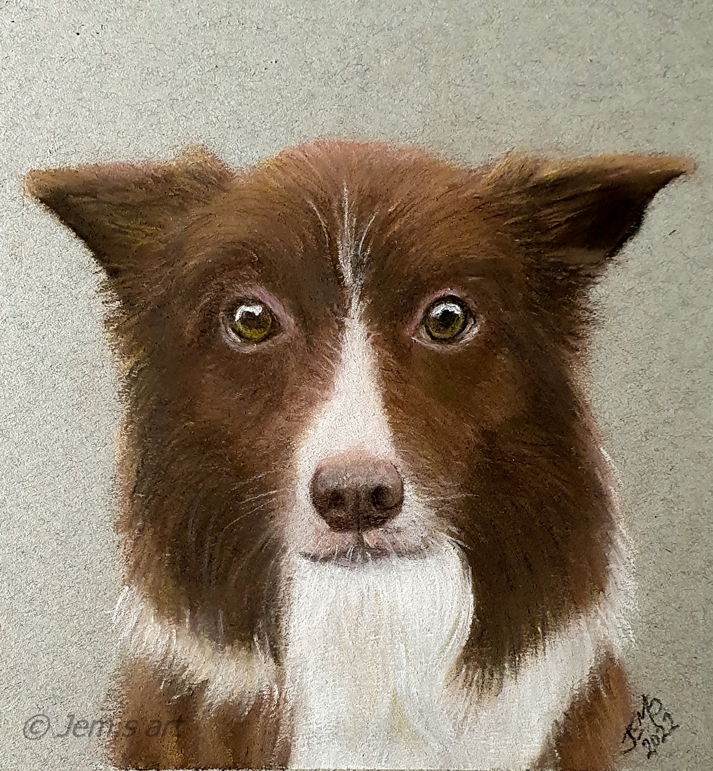 Memorial Animal Portraits