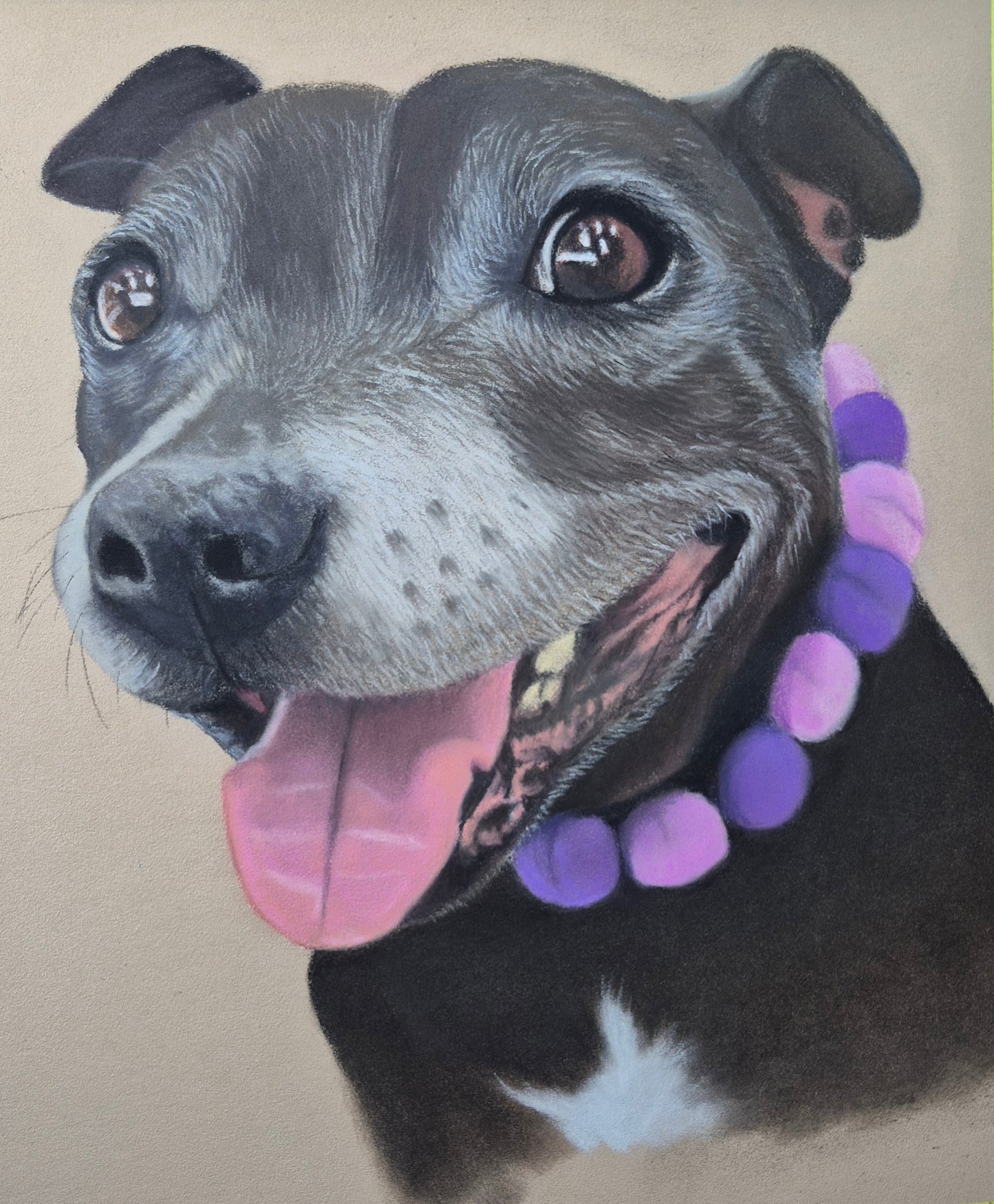 Memorial Animal Portraits