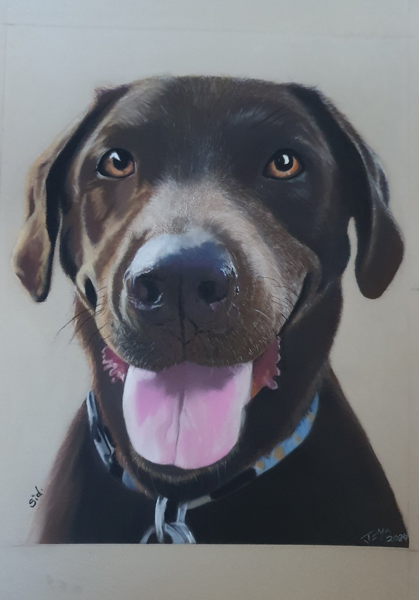 Memorial Animal Portraits