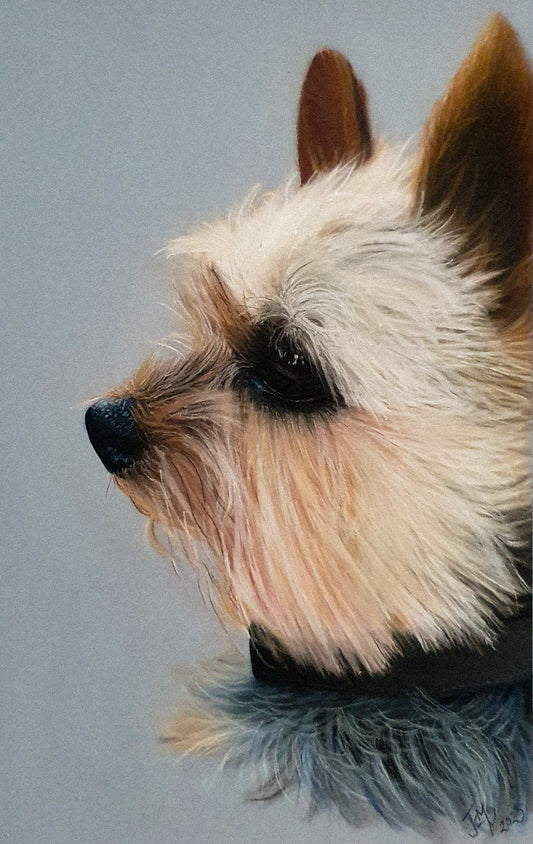 Silky terrier Australian Art.