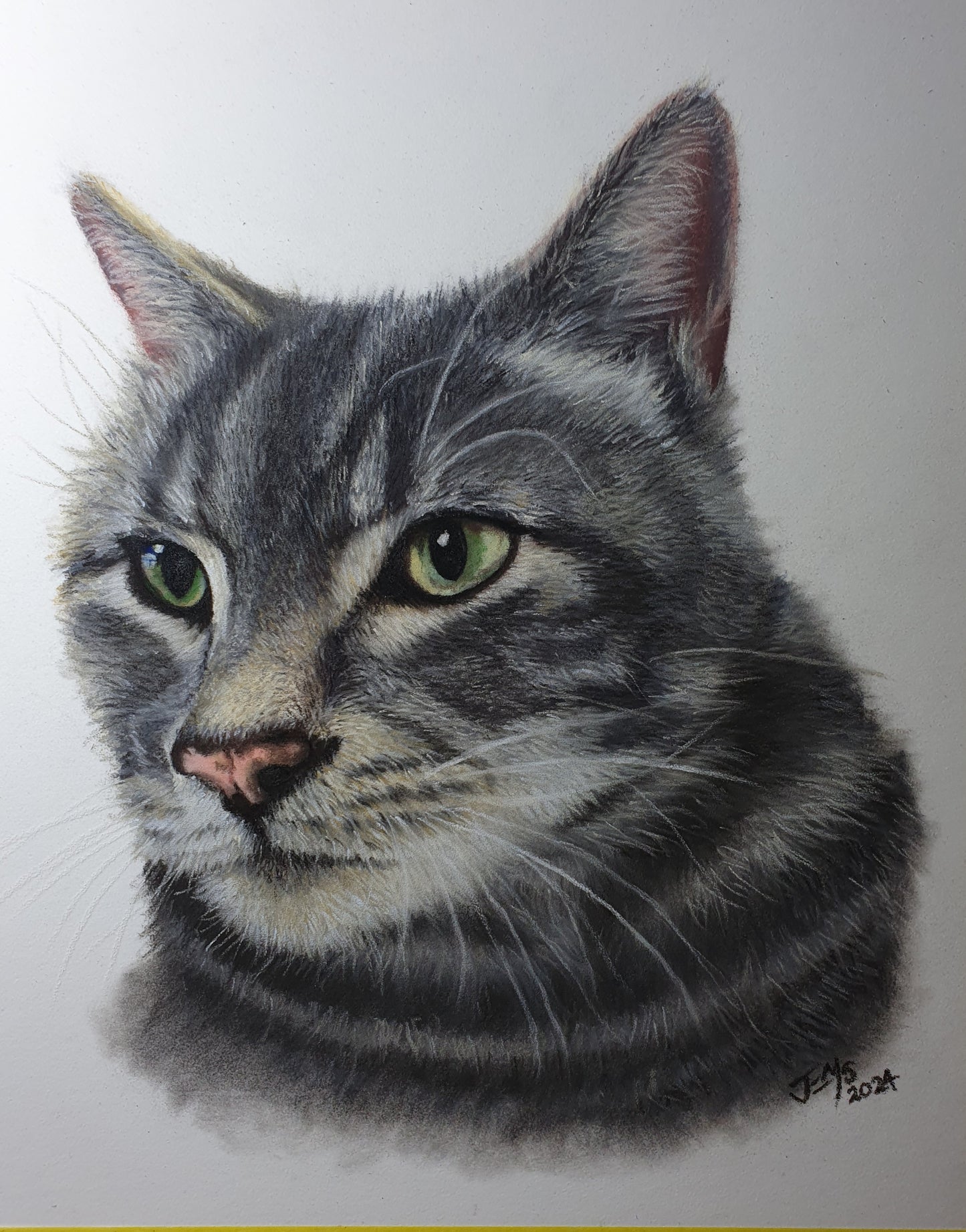 Memorial Animal Portraits