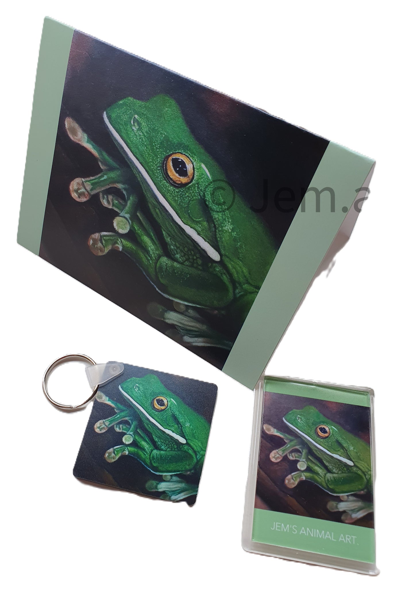 Animal Greeting Card - The Green Frog- Printed Australian Animals
