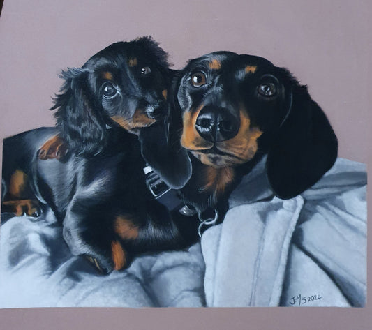 Animal Greeting Cards - The Mummy and Puppy Dachshund  - Printed Australian Animals