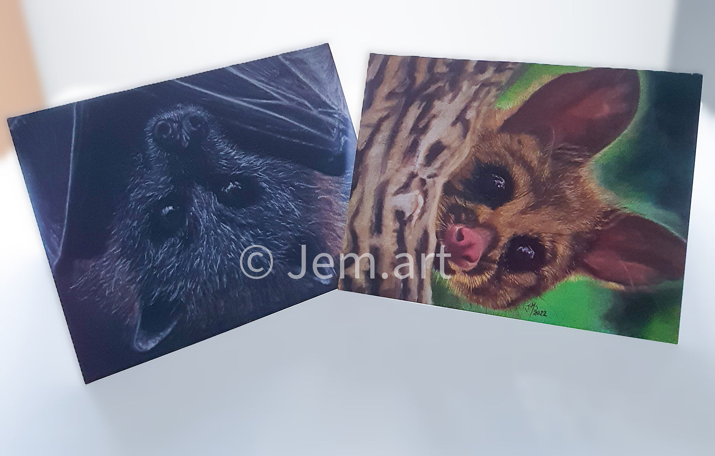 Animal Greeting Card - The Fruit Bat - Printed Australian Animals